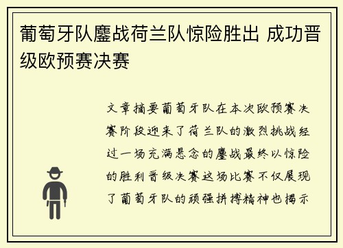 葡萄牙队鏖战荷兰队惊险胜出 成功晋级欧预赛决赛